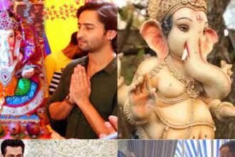 Bollywood celebrities on Ganesh chaturthi