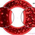 Hemoglobin