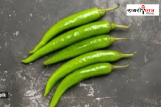 Green Chilli