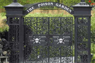 Alnwick Poison Garden | Northumberland | Toxic Plants | Medicinal