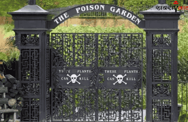 Alnwick Poison Garden | Northumberland | Toxic Plants | Medicinal