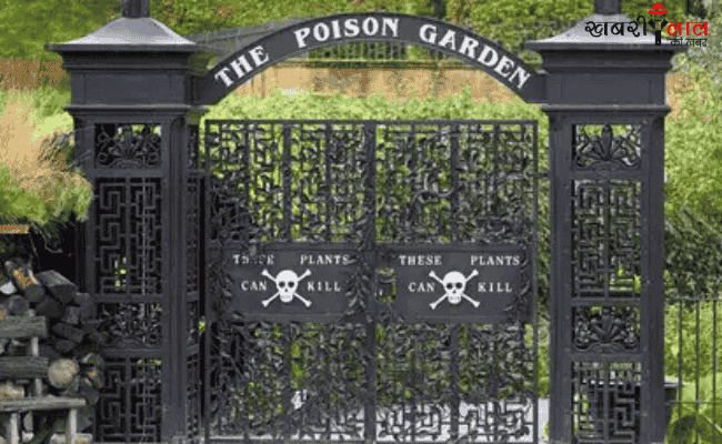 Alnwick Poison Garden | Northumberland | Toxic Plants | Medicinal