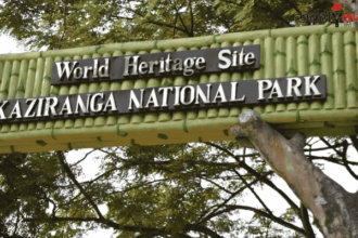 Kaziranga National Park | 12th International Tourism Mart | Assam