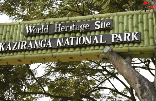 Kaziranga National Park | 12th International Tourism Mart | Assam