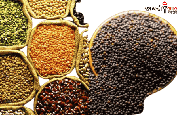 Legume crops | Pest Management | Lucerne Caterpillar | Cutworm