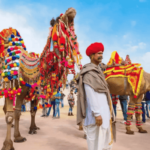 Pushkar Mela | Pushkar Camel Fair | Rajasthan | Celebration