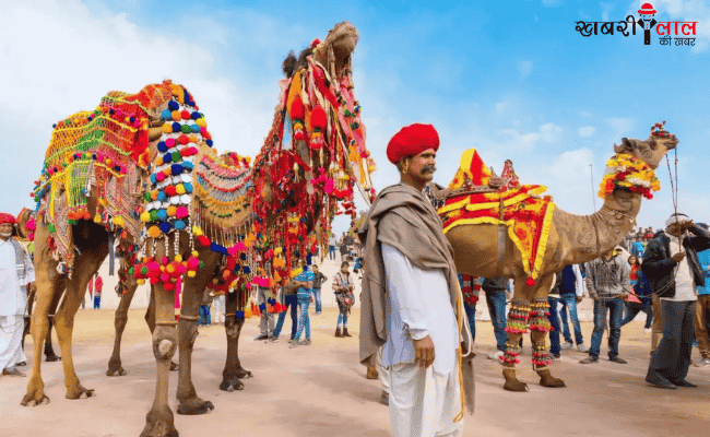 Pushkar Mela | Pushkar Camel Fair | Rajasthan | Celebration