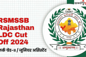 RSMSSB | LDC Results 2024 | Cut Off List | Official Website | PDF