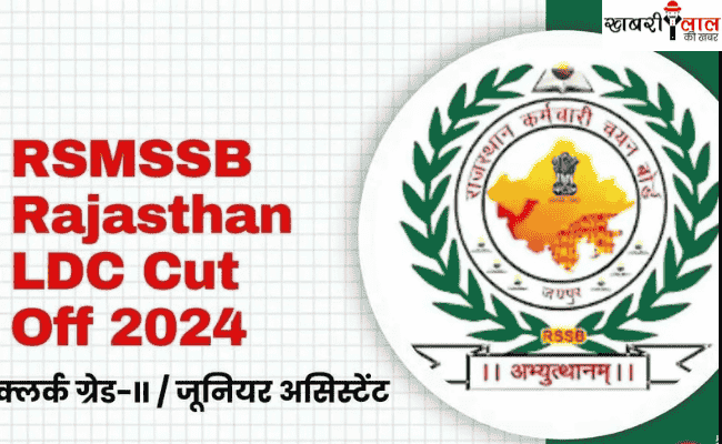 RSMSSB | LDC Results 2024 | Cut Off List | Official Website | PDF