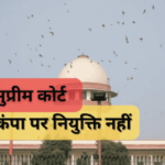 Supreme Court | Compassionate Appointment | Legal Right