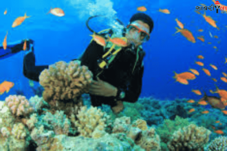 Scuba Diving Destinations | Andaman and Nicobar Islands | India