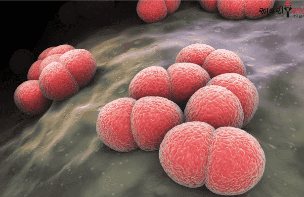 Septicemia | Blood Cancer | Multiple Myeloma | AIIMS | Symptoms