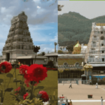 Tirumala Tirupati Devasthanam (TTD) | February 2025 | Arjita Seva