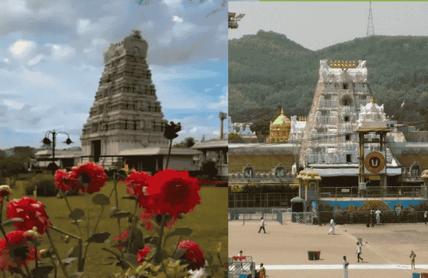 Tirumala Tirupati Devasthanam (TTD) | February 2025 | Arjita Seva