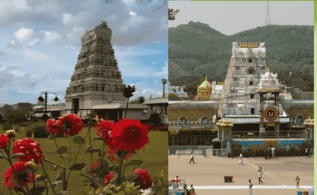 Tirumala Tirupati Devasthanam (TTD) | February 2025 | Arjita Seva