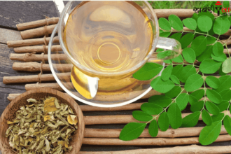 Moringa Leaves | Moringa Tea | Blood Pressure | Constipation