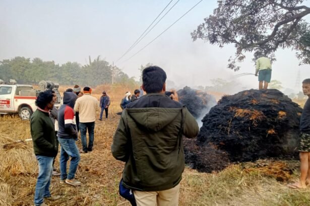 Sohagpur | Fire Accident | Paddy Stack | Crop Loss | Fire Brigade