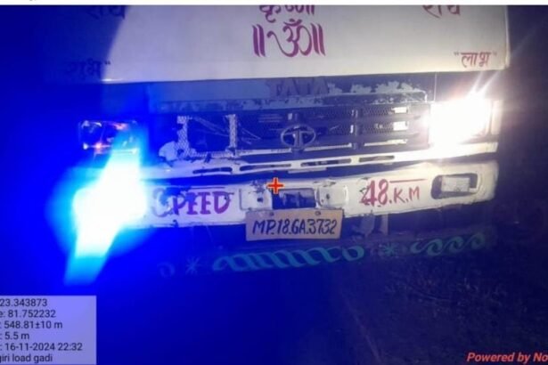 Illegal Transportation | Eucalyptus Wood | Forest Department