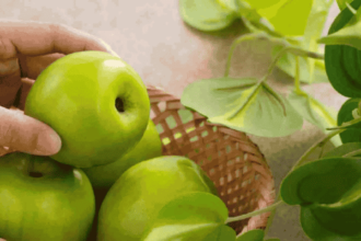 Powdery Mildew Disease | Apple Ber | Prevention | Symptoms