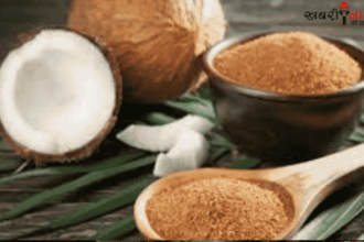 Coconut Sugar | Diabetes | Insulin Sensitivity | Healthy Alternative