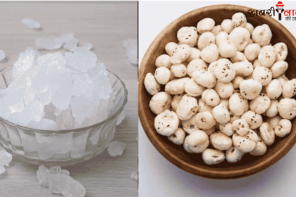 Makhana-Misri | Kidney Stones | Joint Pain | Ayurvedic Treatment