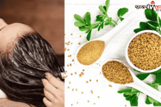 Fenugreek Seeds (Methi Dana) | Hair Fall Control | Hair Growth