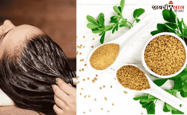 Fenugreek Seeds (Methi Dana) | Hair Fall Control | Hair Growth