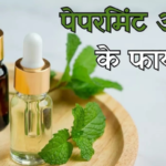 Peppermint Oil Business | Farmer Profit | Government Subsidy