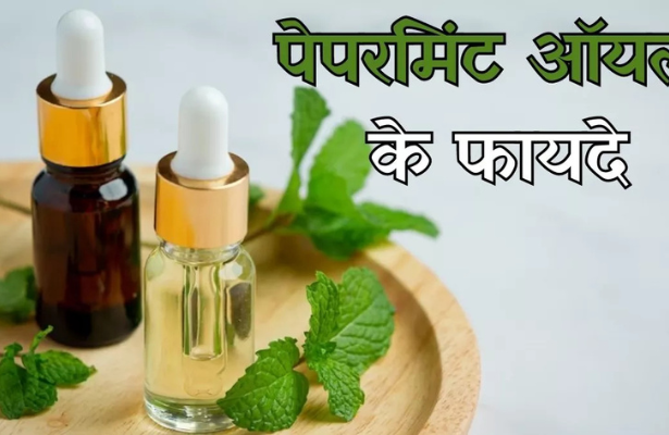 Peppermint Oil Business | Farmer Profit | Government Subsidy