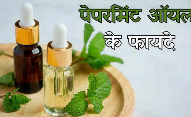 Peppermint Oil Business | Farmer Profit | Government Subsidy