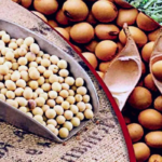 Soybean Processing Unit | Soybean Business | Farmer's Gold