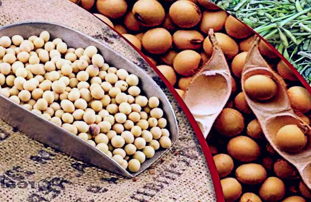 Soybean Processing Unit | Soybean Business | Farmer's Gold