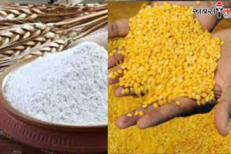 PMFME Scheme | Subsidy on Flour Mill & Dal Mill | Micro food industry