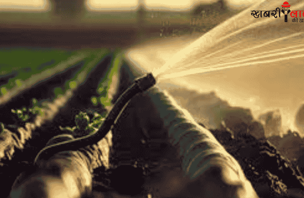 National Horticulture Mission | Rajasthan Gov | Farmers Welfare