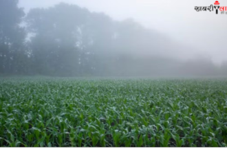 Winter Frost | Winter Crop Protection | Frost Damage to Crops